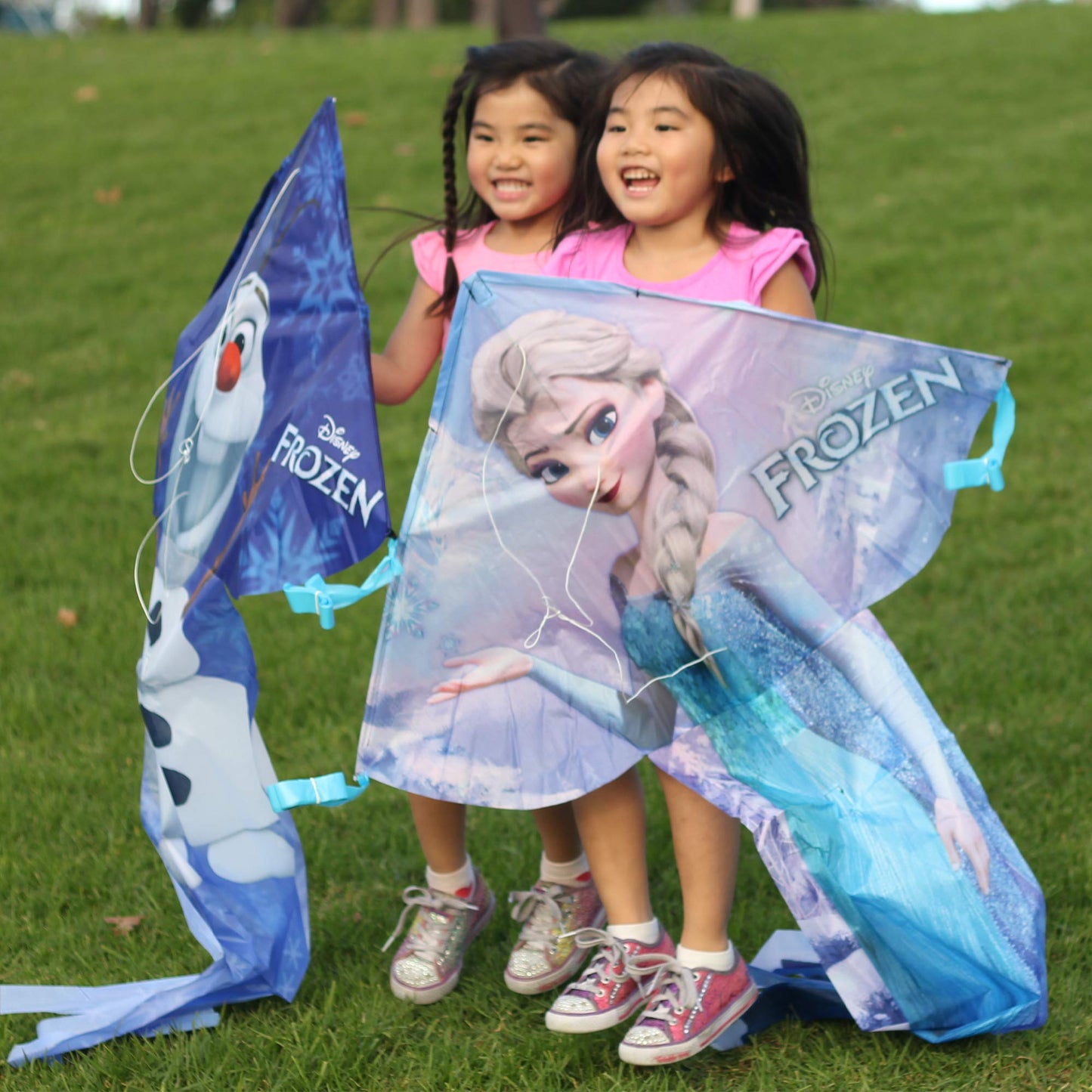 Windnsun Breezyfliers 57 Nylon Kite, Cinderella, 57 Inches Tall