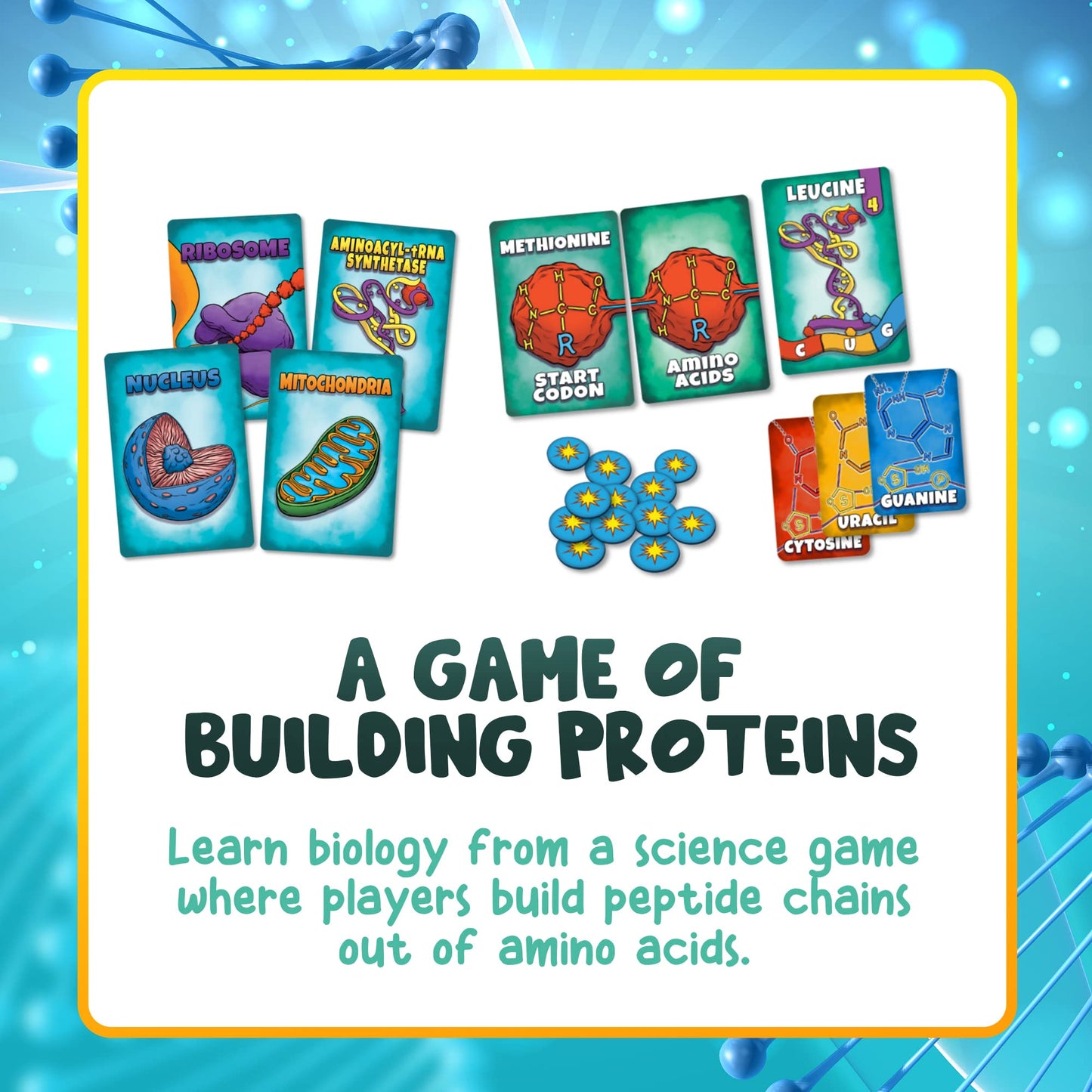 Genius Games Peptide Strategy Card Game | Teaches Amino Acids | Small Red Paper Model GOT1003