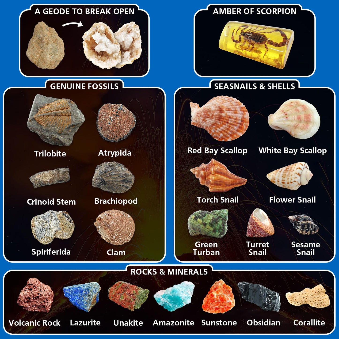 Pibex Volcano & Ocean Fossil Dig Kit, Dig Up 20+ Real Fossils, Rocks, Shells & Sea Snails With Eruption Experiments, Earth Scien