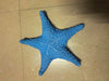 VVGIFTS Blue Ocean Beach Decoration Starfish Resin Wall Hanging Decoration (SkyBlue)