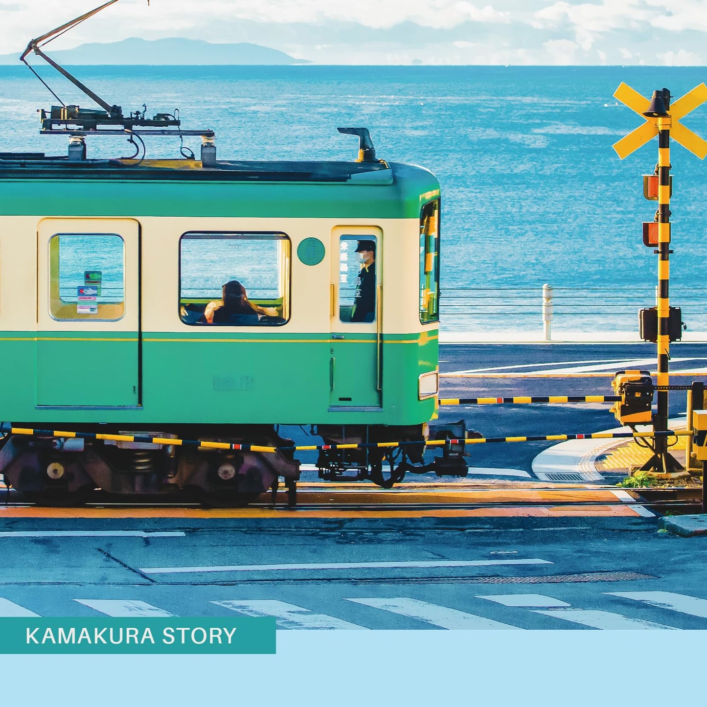 Puzzles For Adults 1000 Pieces, Momibook Jigsaw Puzzles Of Seaside Train, Painting Image 75X50Cm(29.5''X19.7'') Toys & Game Puzz