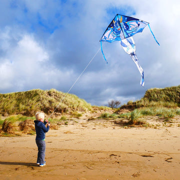 Kaiciuss Dragon Kite For Kids, Easy Flying Beach For Boys, 63 Large Line Delta With 67 Tail And 300 Ft String Handle