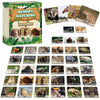 Gisgfim 50 Pairs Memory Matching Game Wild Animals Concentration Memory Card Matching Games