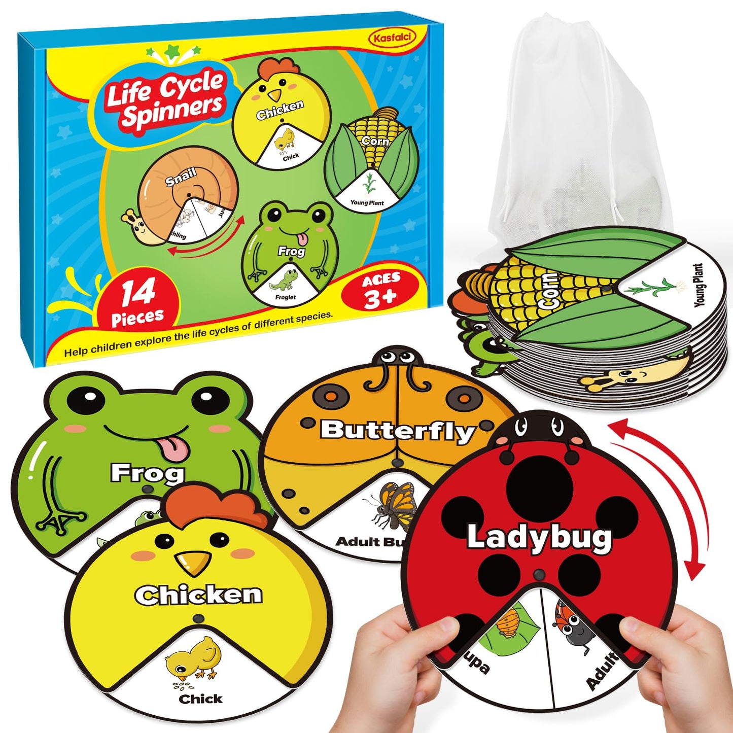 Kasfalci Life Cycle Toys For Kids,Animal Plant Insect Bug Ladybug Butterfly Tadpole To Frog Kit,Montessori Learning & Education