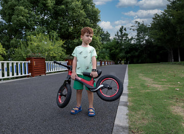 CXWXC 12" Toddler Balance Bike - No Pedal Training Bicycle, Alloy Steel, Black-Red, Ages 2-5, Perfect Birthday Gift for Kids