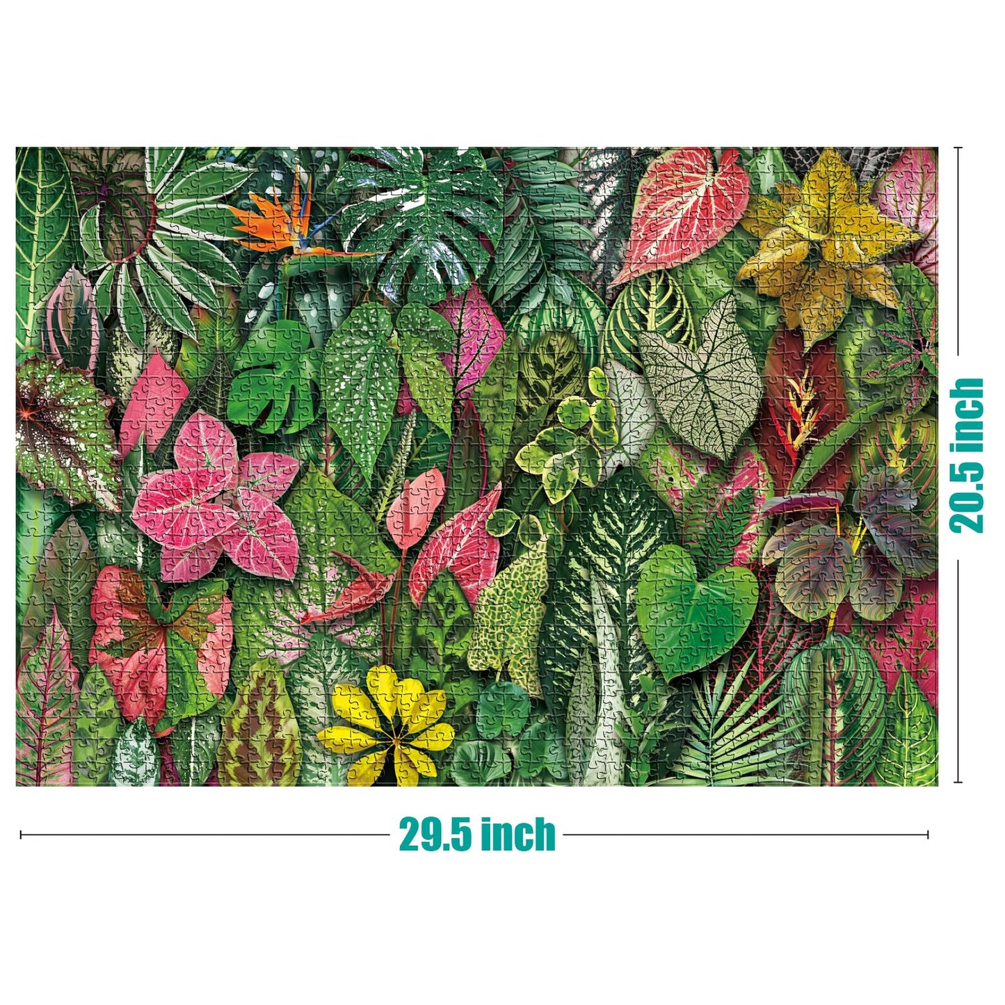 Antelope - 1000 Piece Puzzle For Adults, Foliage Frenzy - Jigsaw Puzzles 1000 Pieces, High Resolution, Matte Finish, No Dust