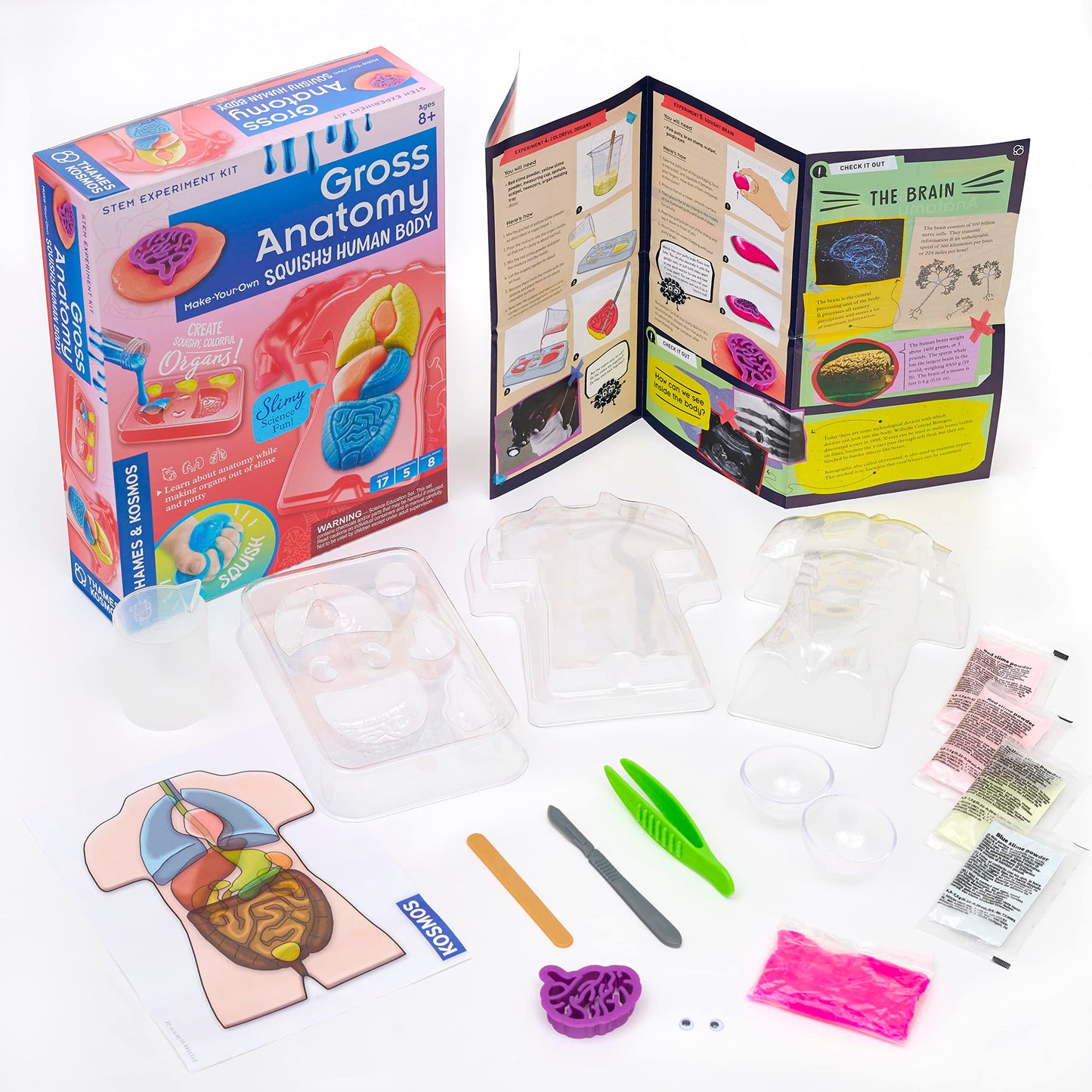 Thames & Kosmos Gross Anatomy: Make-Your-Own Squishy Human Body Stem Experiment Kit | Make Colorful Models Of Human Organs With