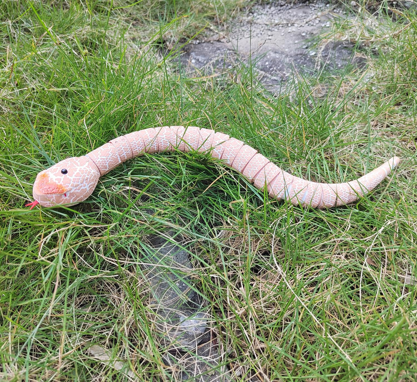 Tipmant Realistic Remote Control Snake Rc Animal Toy Crawling Electric Electronic Battery Powered Honored For Kids Cat Halloween