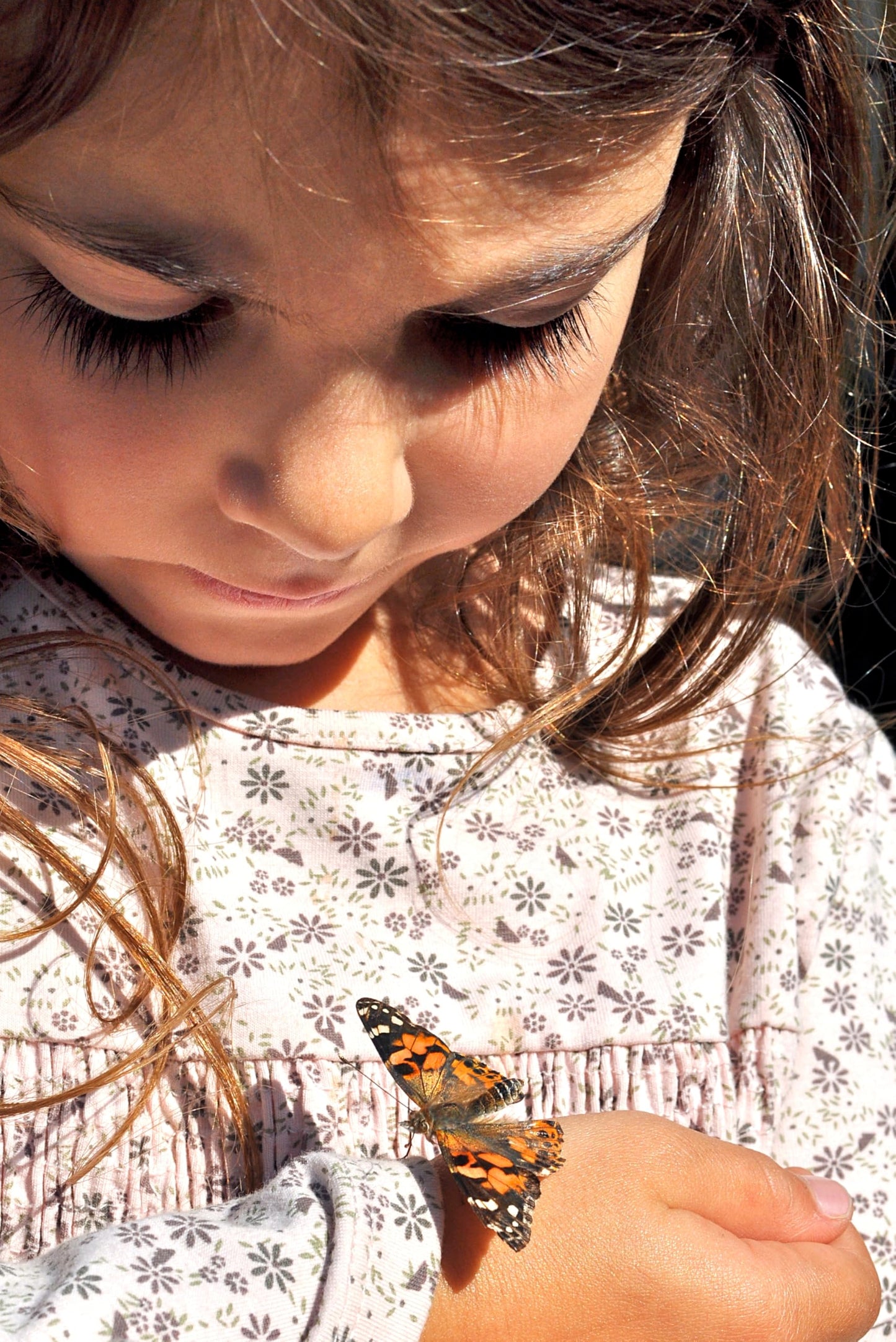 Insect Lore Butterfly Garden Experience | No Fee Prepaid Voucher | Redeem Raise And Release 5 Baby Painted Lady Caterpillars | O