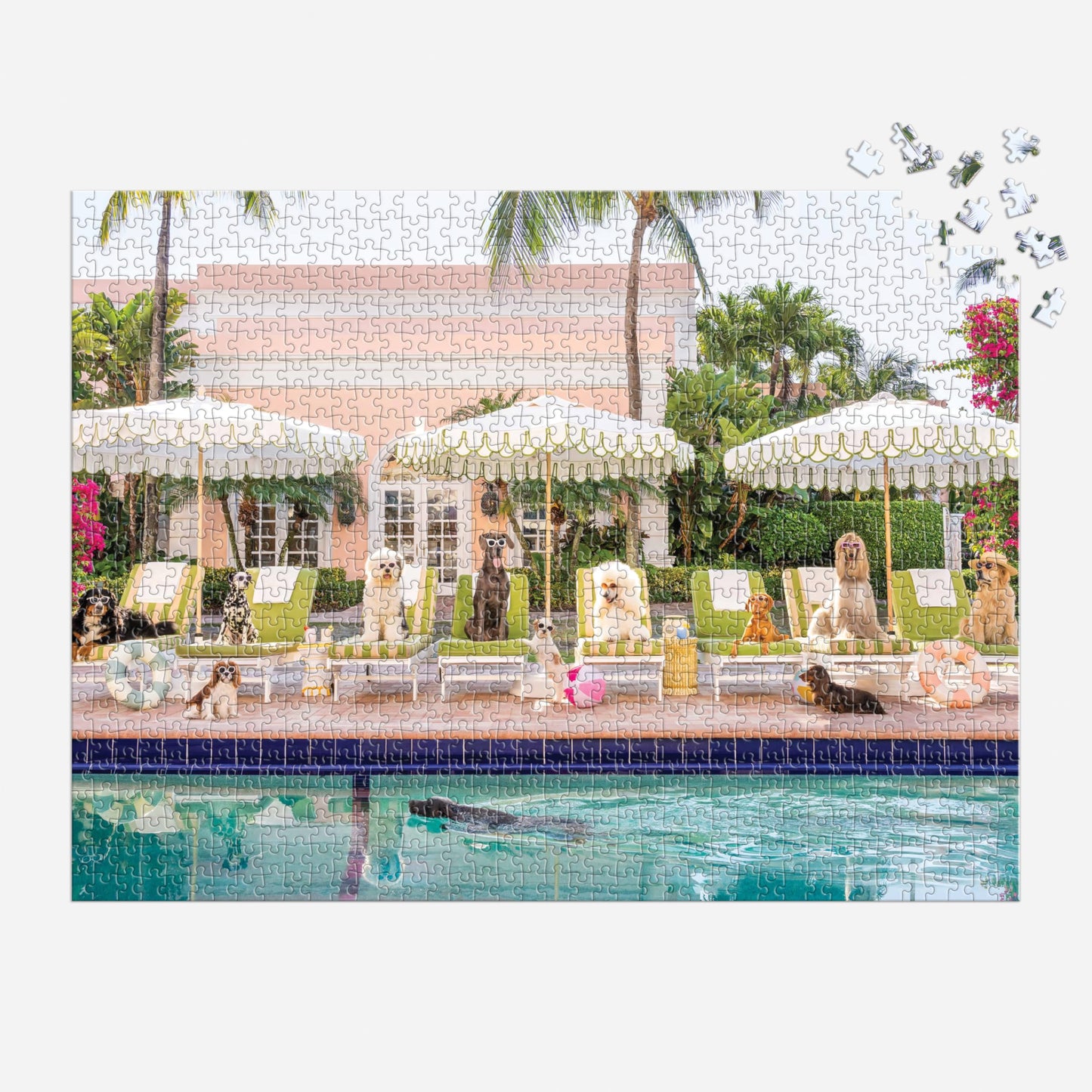 Galison Gray Malin Palm Beach - 1000 Piece Book Box Puzzle With Glamorous Palm Beach Dogs Photography Packaged In Magnetic Keeps