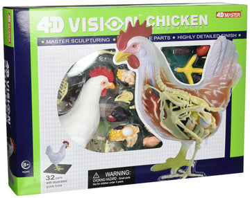 Tedco 4D Vision Chicken Anatomy Model