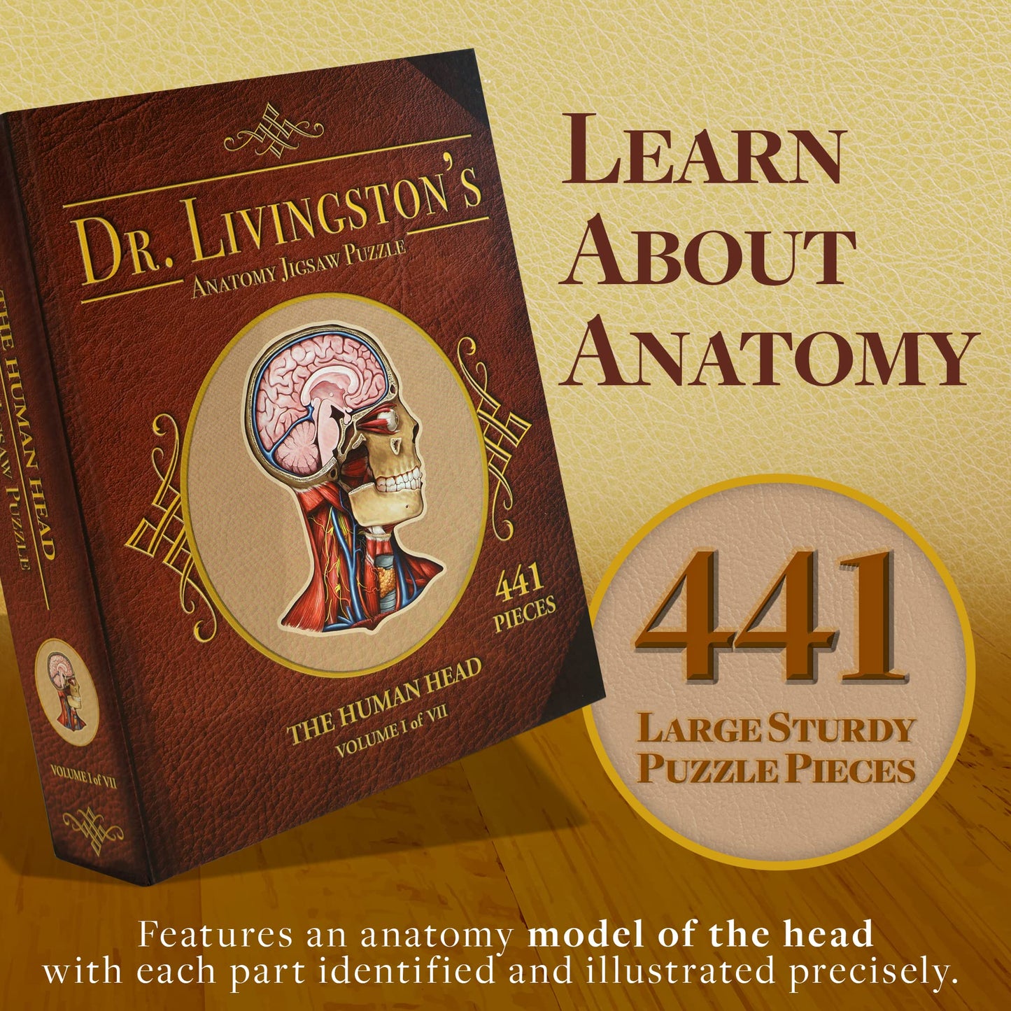 Genius Games Human Head Anatomy Puzzle - Adult Jigsaw Puzzles Unique Gifts For Kids Educational Science - 441 Piece Teen Floor Puzzle - Genius Games Dr. Livingston