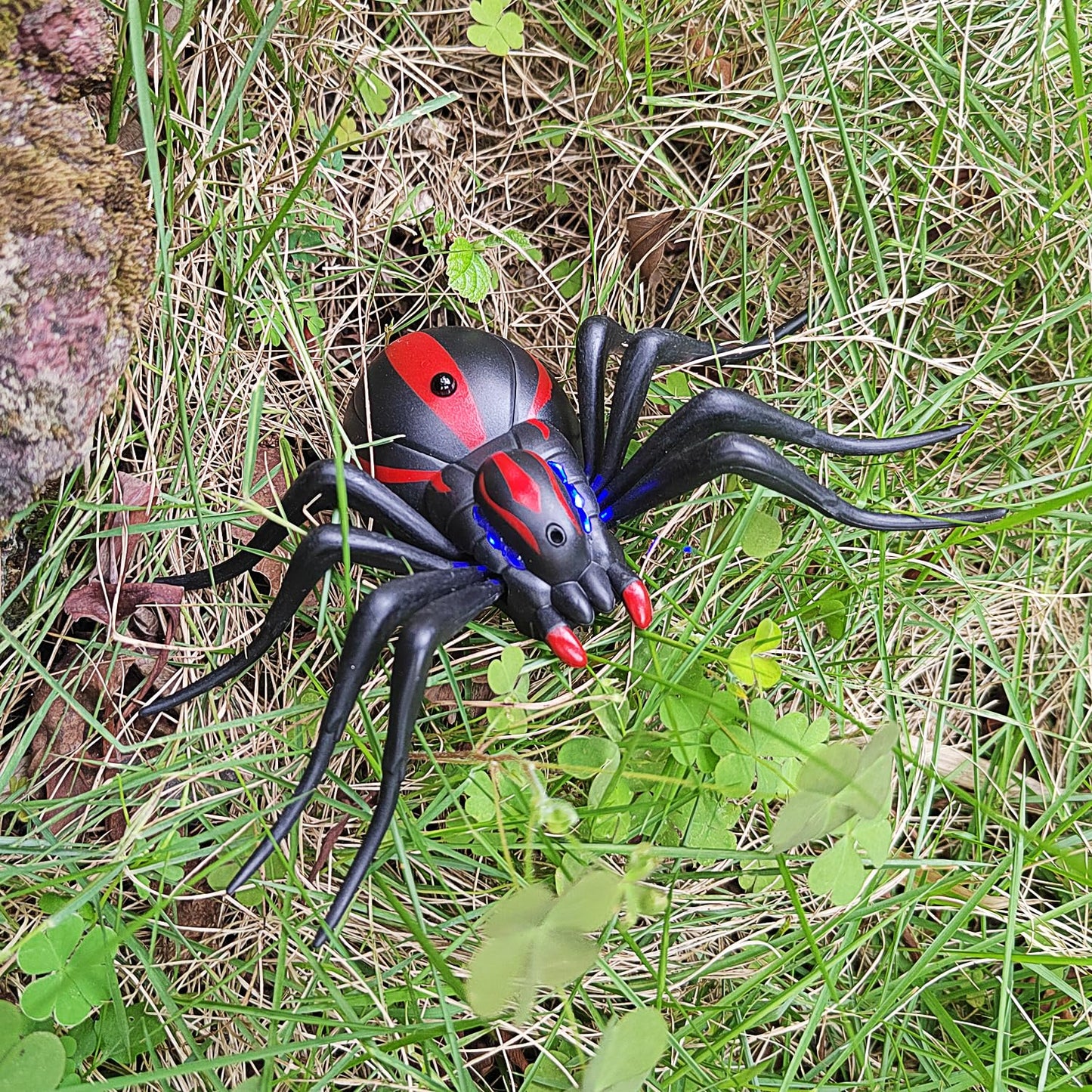 Tipmant RC Spider Toy IR Remote Control Tarantula Realistic Animal for Pets Cats Dogs Prank Toy Toddler Kids Birthday Gifts Incl