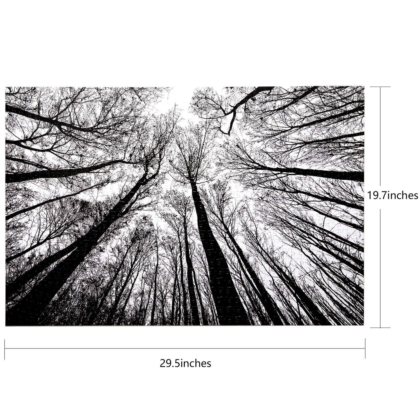 Bgraamiens Puzzle-Forest In Black And White-1000 Pieces Creative Black And White Nature Scenery Hard Puzzle Blue Board Jigsaw Pu
