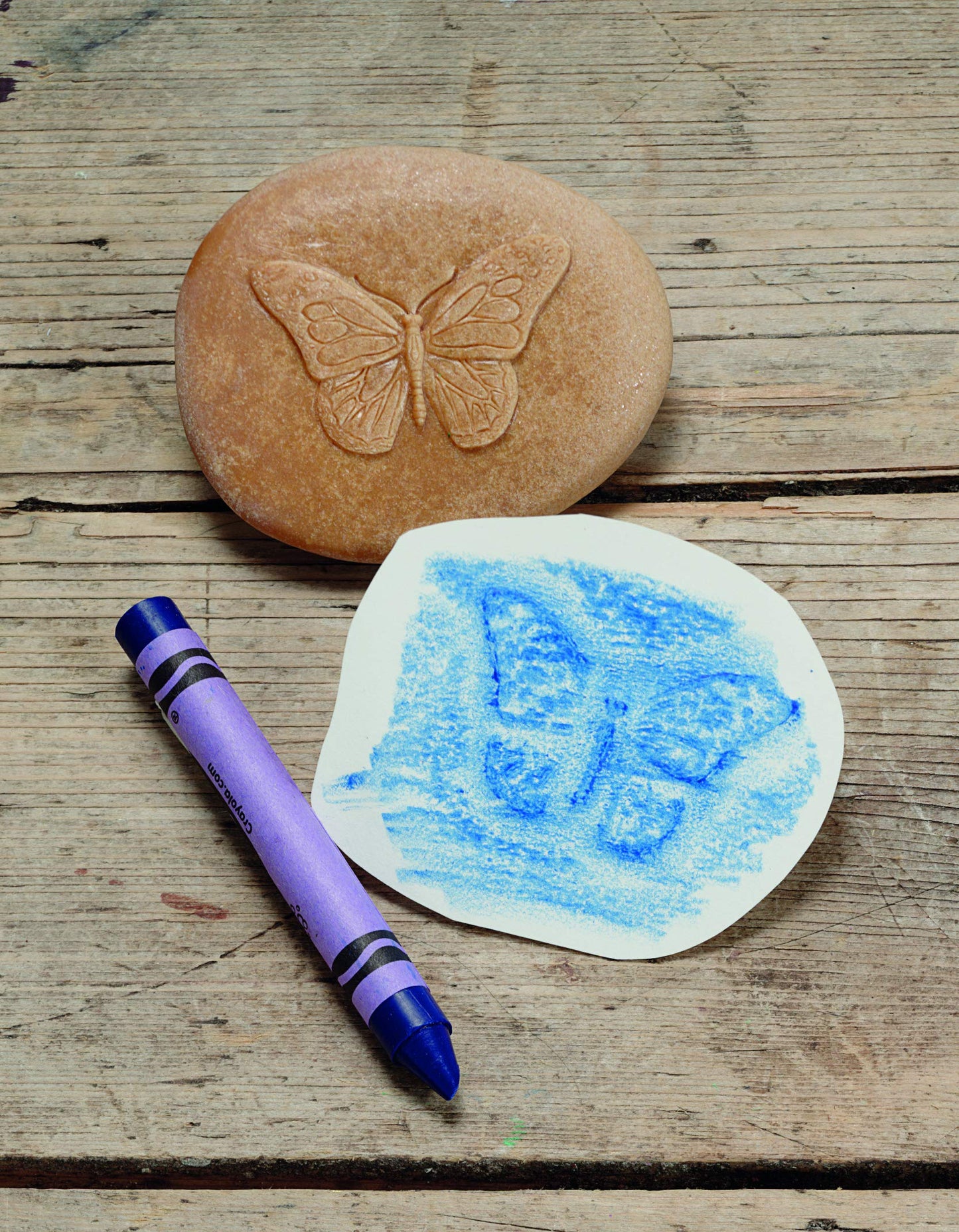 Play And Explore Bugs