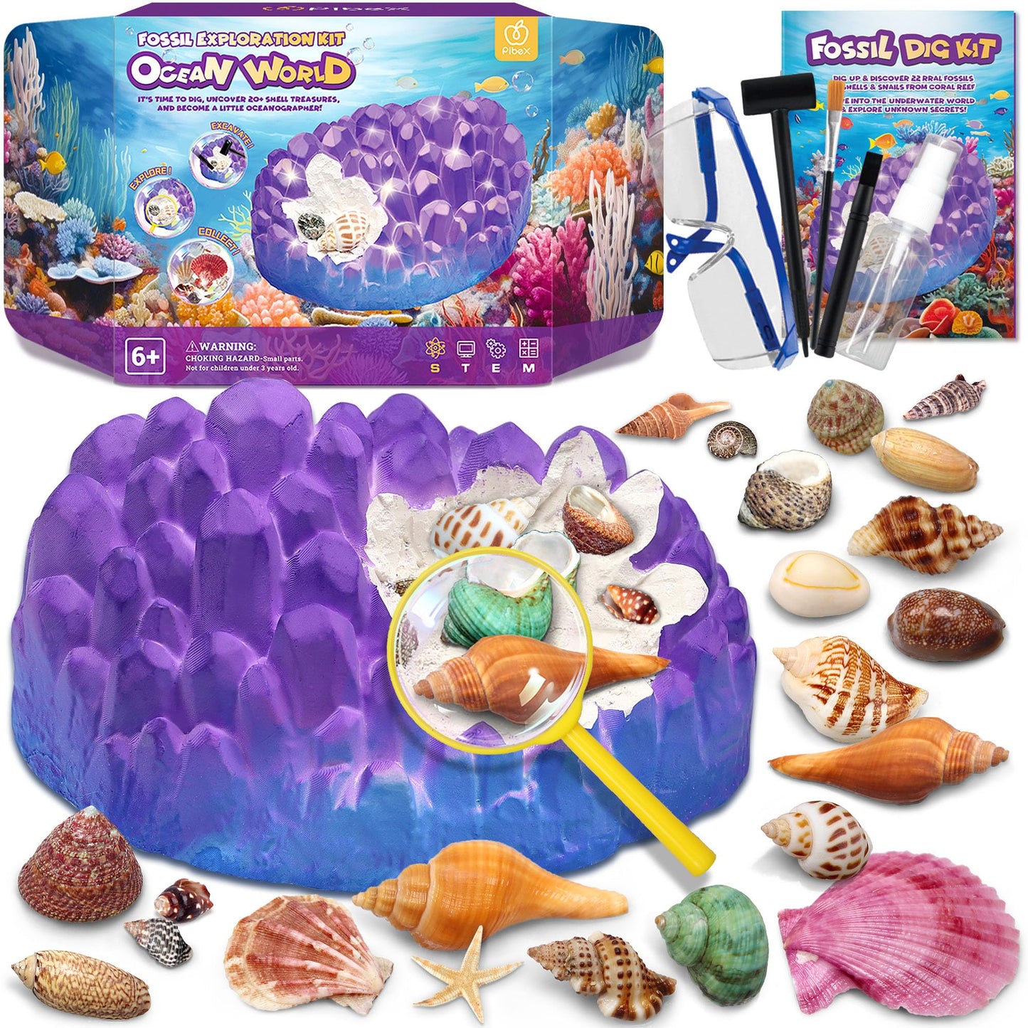 Pibex Ocean Fossil Dig Kit, Dig Up 20+ Real Shells & Seasnails, Stem Educational Activity Set Sea Creatures Excavation Toy For K
