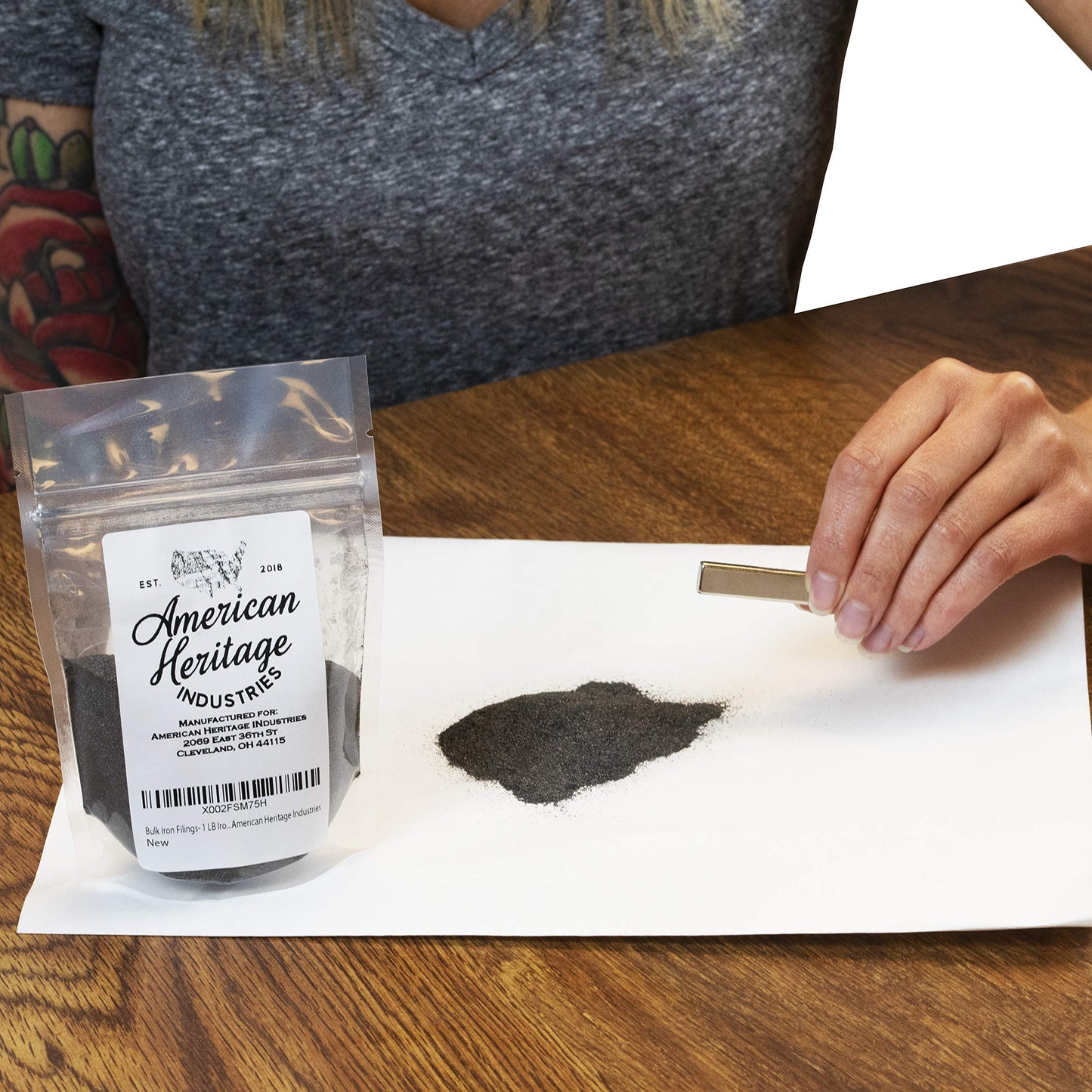 Bulk Iron Filings- 1 Lb Iron Filings For Science Experiments, By American Heritage Industries