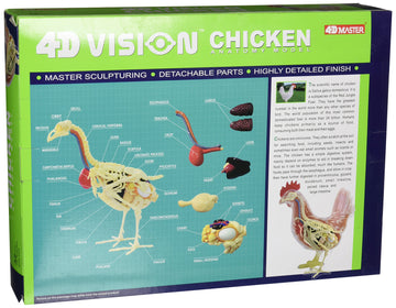 Tedco 4D Vision Chicken Anatomy Model