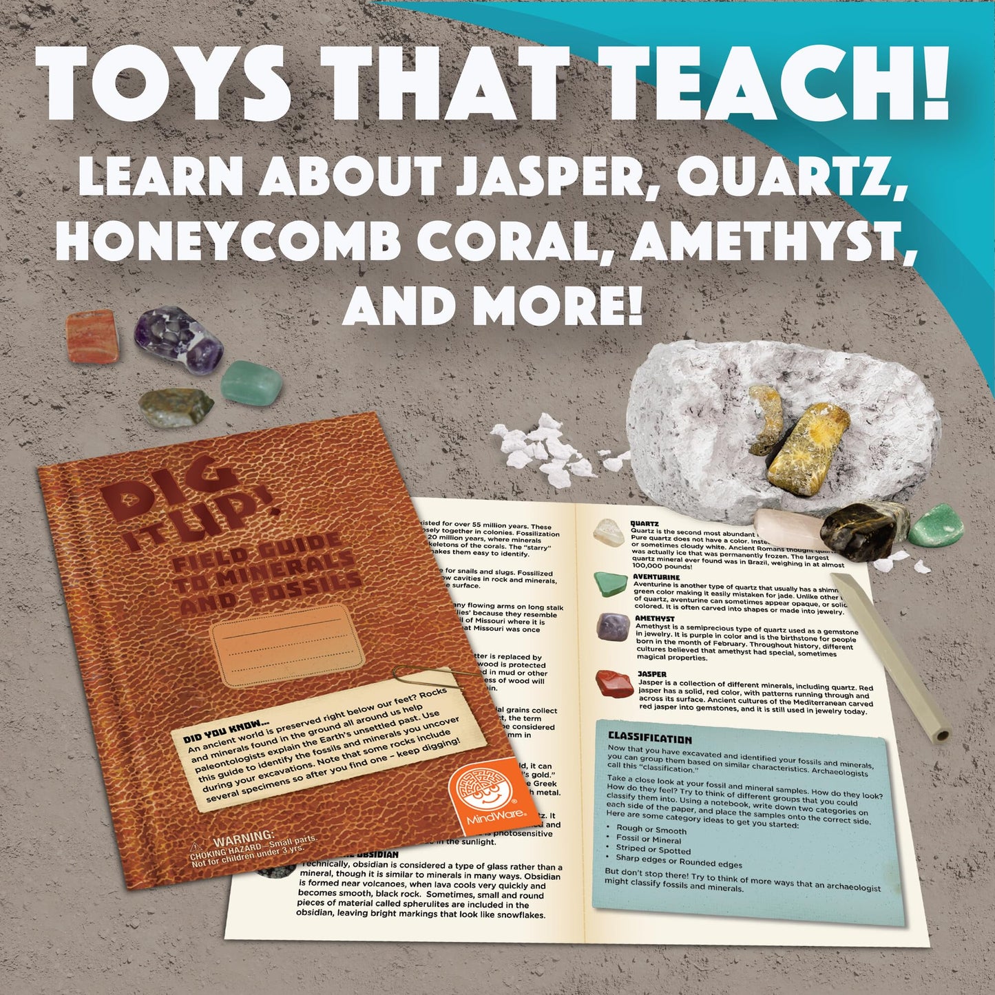 Dig It Up! Fossils & Minerals