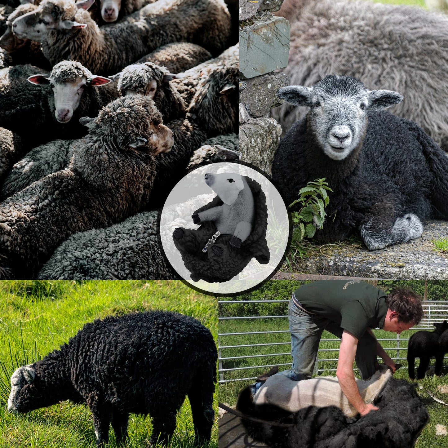 AGRIMONY Black Sheep Plush Toy - Cute Small Shaved Lamb Stuffed Animal for Kids, Girls, Boys, Women - Perfect Gift for Valentine's, Birthdays, Easter