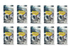 Dragon Shield 100 Standard Size Clear Perfect Fit Sleeves (10 Packs)