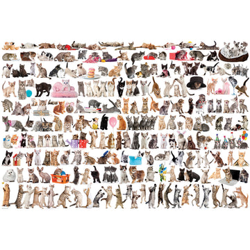 EuroGraphics 2000-Piece The World of Cats Puzzle - Cardboard, Model 8220-0580