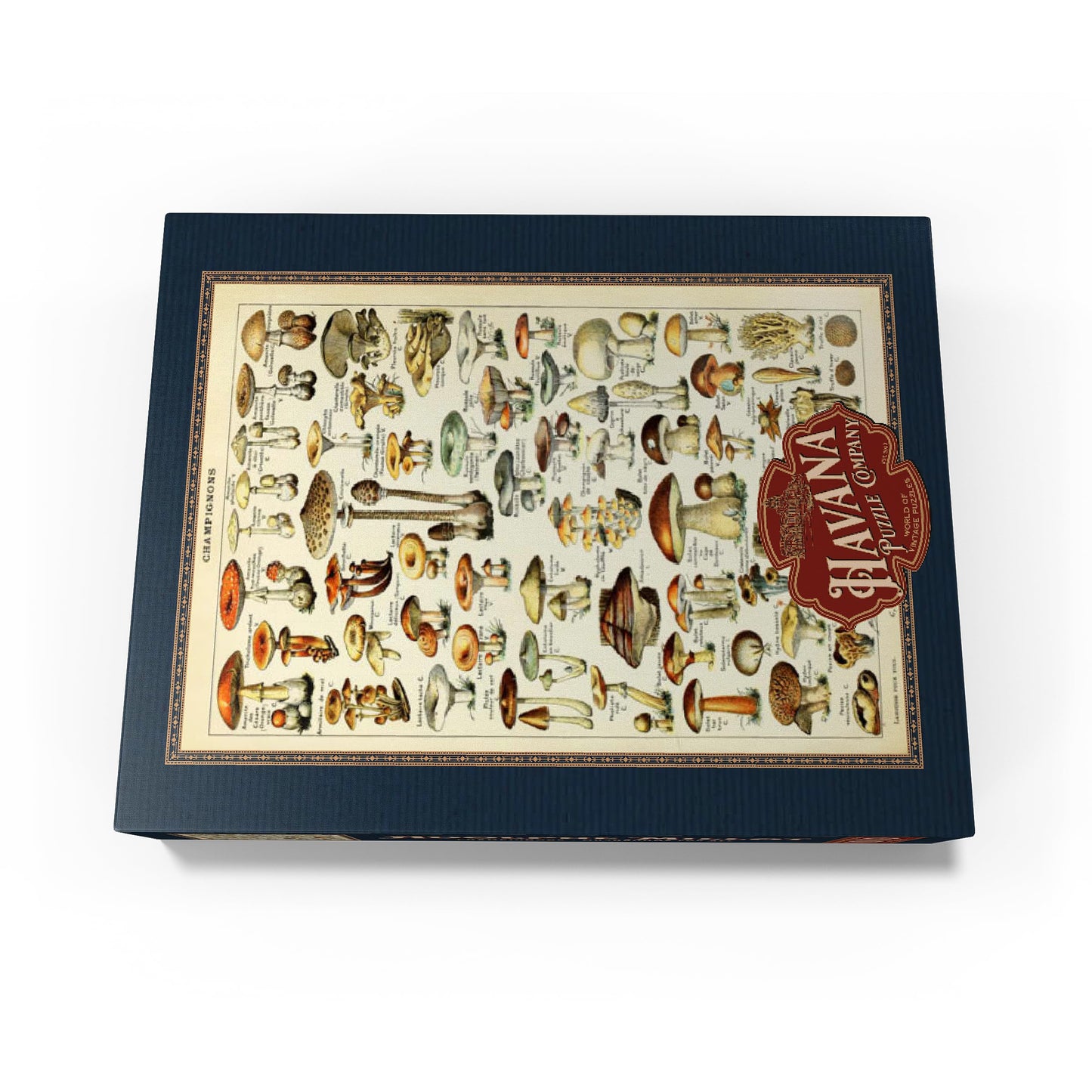 Mypuzzle Champignons - Mushrooms For All, Vintage Art Poster, Adolphe Millot - Premium 1000 Piece Jigsaw Puzzle For Adults