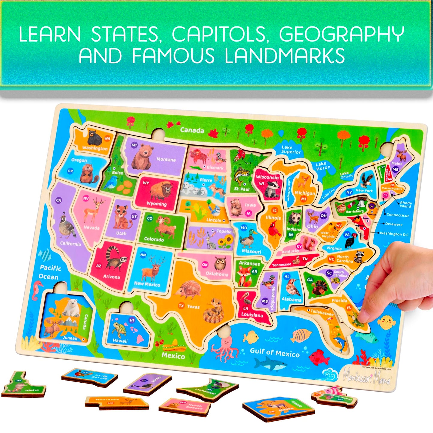 Montessori Mama Wooden Puzzles For Kids Ages 4-6, Usa States And Capitols, World Continents And Oceans Kids Puzzles, Combo Set 2 Toddler Puzzles