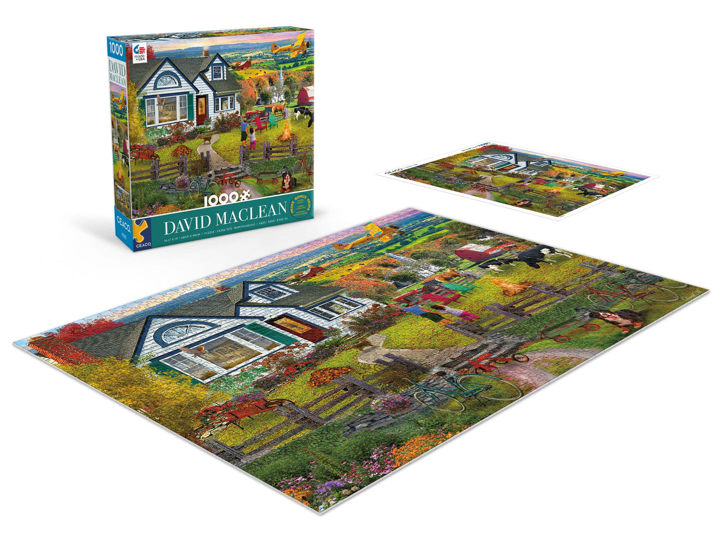 Ceaco - David Maclean - The Fly By - 1000 Piece Jigsaw Puzzle