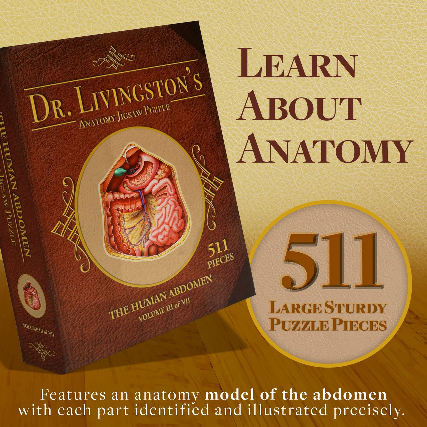 Genius Games Human Abdomen Anatomy Jigsaw Puzzle | Dr Livingston'S Unique Shaped Science Puzzles, Accurate Medical Illustrations Of The Body, Organs, Stomach, Liver And Intestines