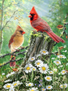 Springbok'S 500 Piece Jigsaw Puzzle Golden Light - Made In Usa