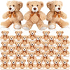 Hydren 36 Pcs 14 Inches Stuffed Bears Animals Plush Toys Bulk Soft Cute Small Shaggy Bear For Baby Shower Birthday Gifts Wedding