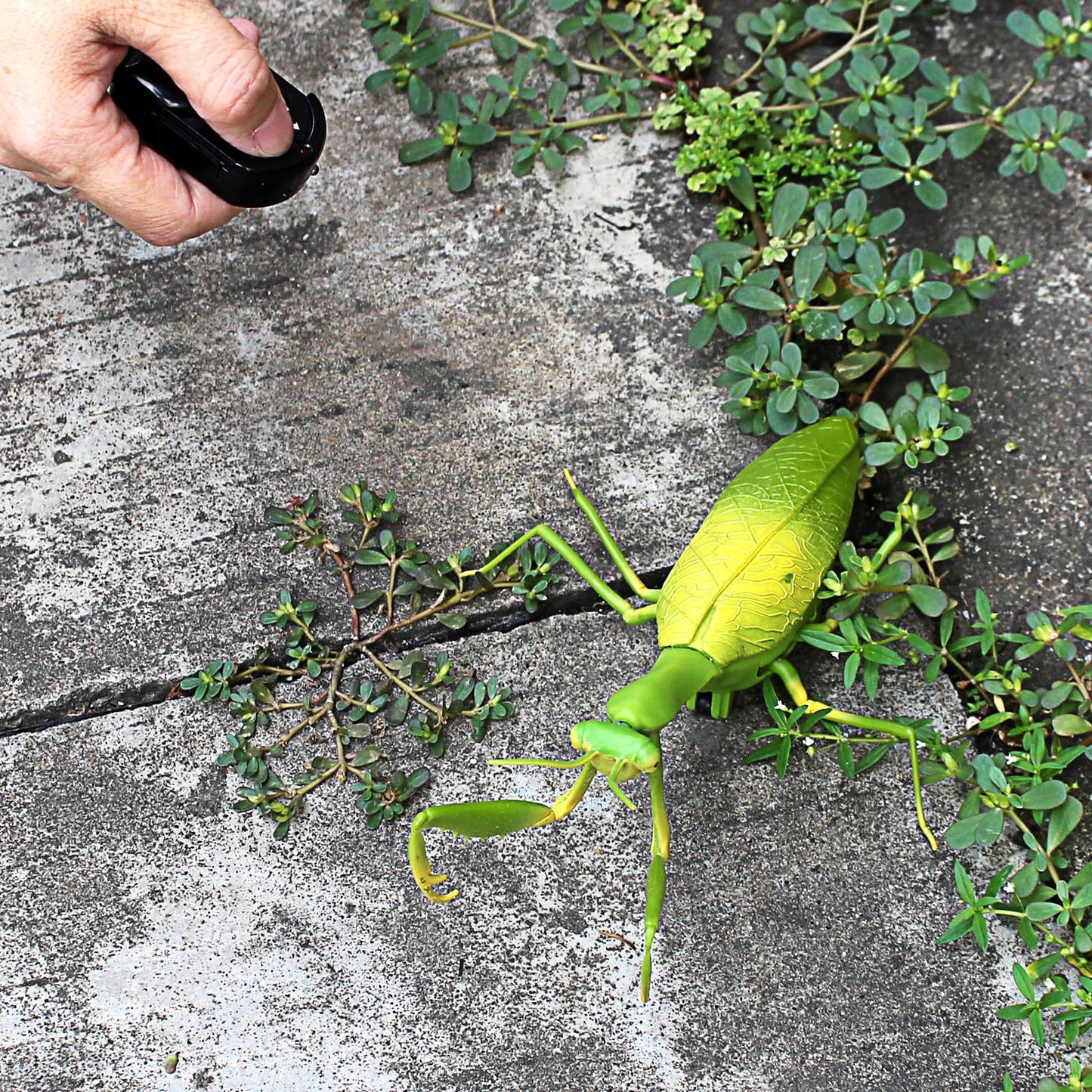 Tipmant Rc Praying Mantis Toy Ir Remote Control Animal Fake Car Vehicle Electric For Kids Birthday