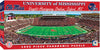 Mississippi Stadium Panoramic