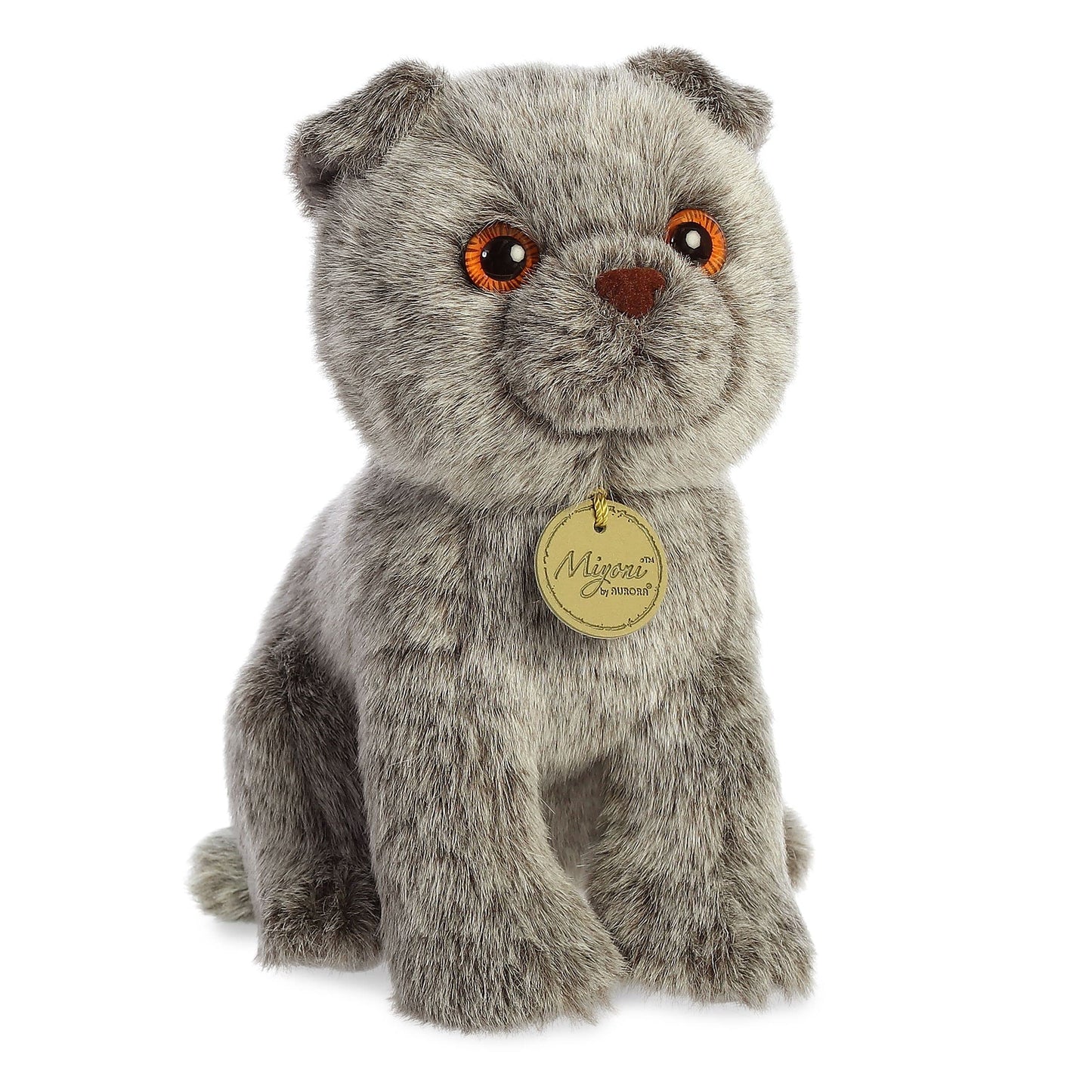 Aurora - Miyoni - 9' Scottish Fold