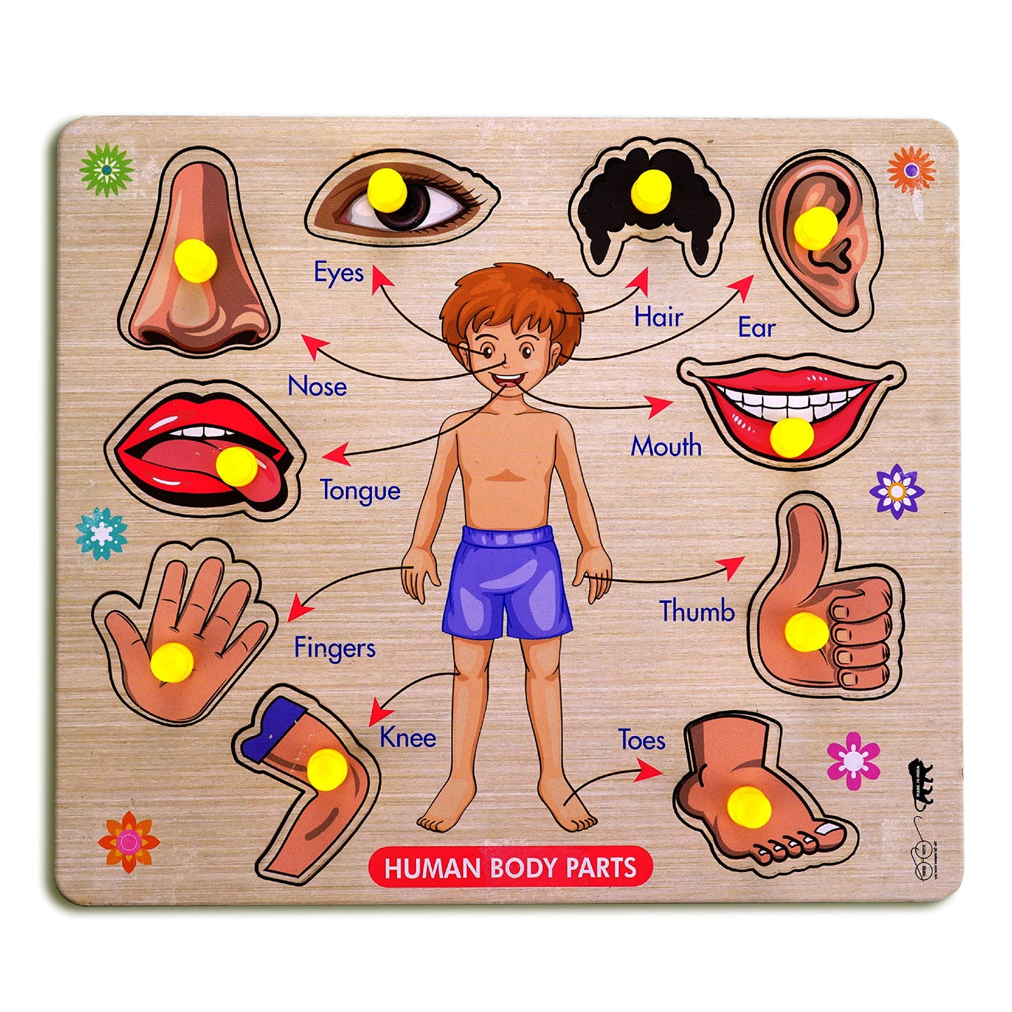 Lefan Wooden Puzzles Wooden Human Body Parts Puzzle Educational Anatomy Toy For Kids Educational Montessori Learning Puzzle For