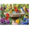 500 Piece Puzzles For Adults, Birds Jigsaw Puzzle 500 Piece For Adults Kids Seniors, Recycled Cardboard Large Piece Puzzle 500,