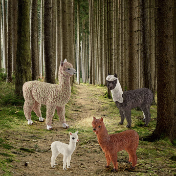 Wonwontoys Alpaca Toys 4Pcs Alpaca Figure Forest Jungle Animal Toy Figurines For Kids Farm Animals Gift For Kids Toddlers