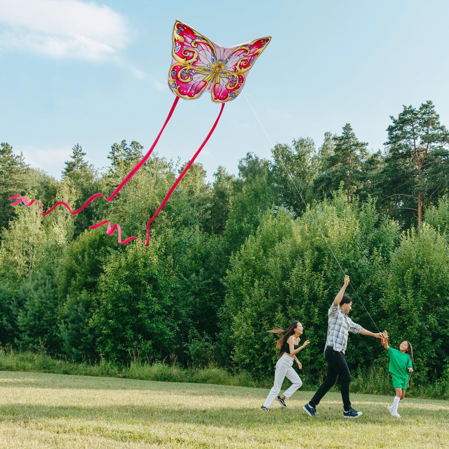 Xida Butterfly Kites For Kids & Adults, Extremly Easy To Fly, Large Kites For Adults, Single Line Kite For Beach Trip, With 200