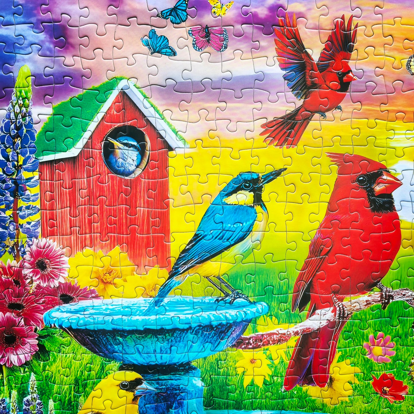 500 Piece Puzzle for Adults - Jigsaw Puzzles - Songbirds of Spring