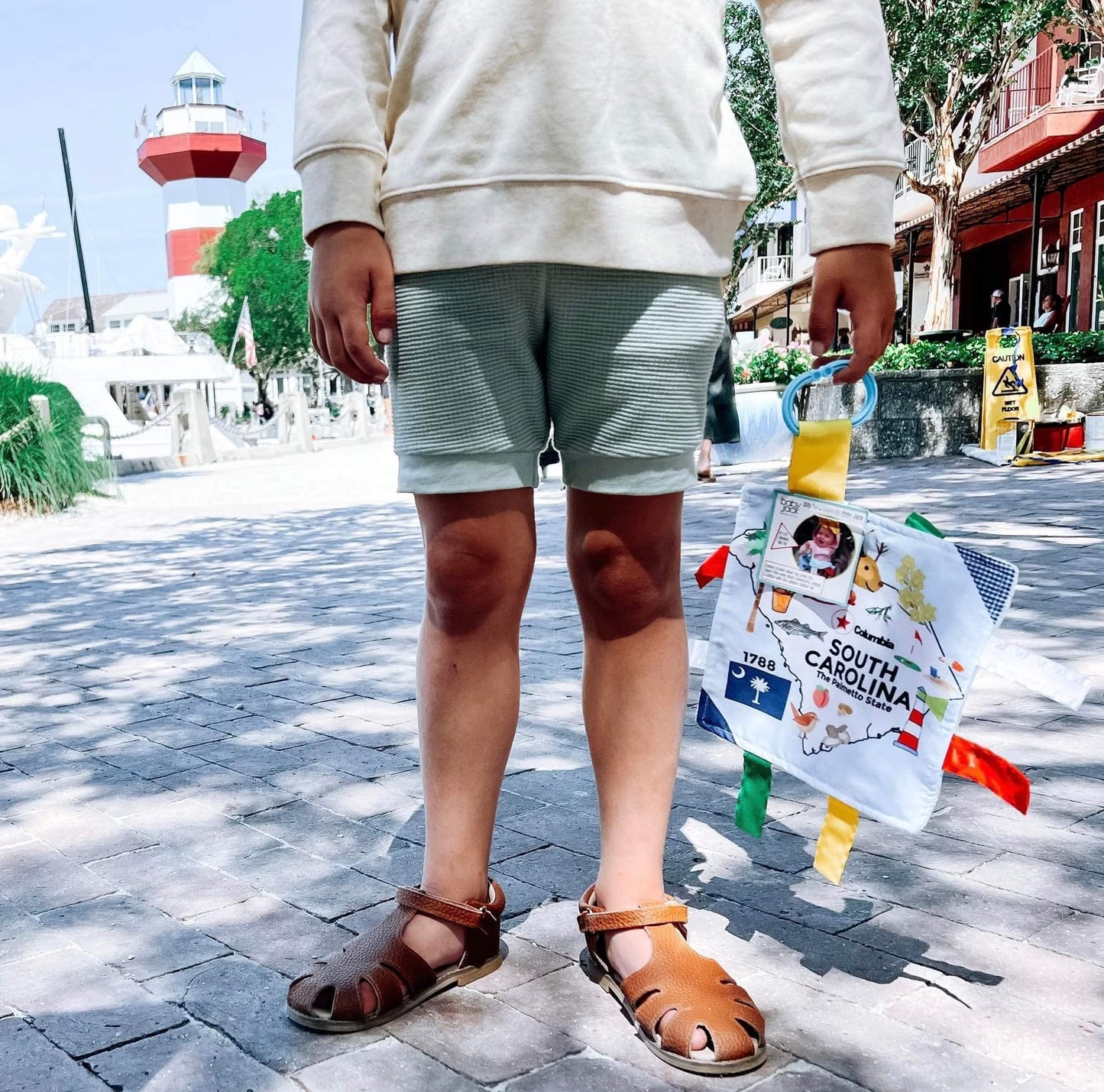 Baby Jack & Co 8X8” Learning Lovey Tag Toys For Babies - Baby Crinkle Toys - Crinkle Toys For Baby - Soft & Safe - Learn Usa State Facts - Ideal Baby Toy Bpa Free W/Stroller Clip (South Carolina)