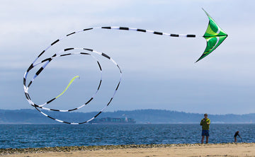 Prism 75-Foot Kite Tube Tail
