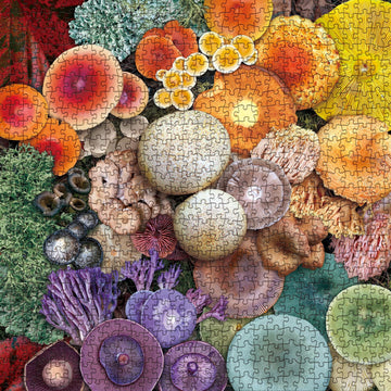 Mushroom Puzzle 1000 Piece Puzzle For Adults, Colorful Mushroom Jigsaw Puzzles, Shrooms In Bloom Toadstool Nature Plant Puzzle Rainbow Fungi Puzzles