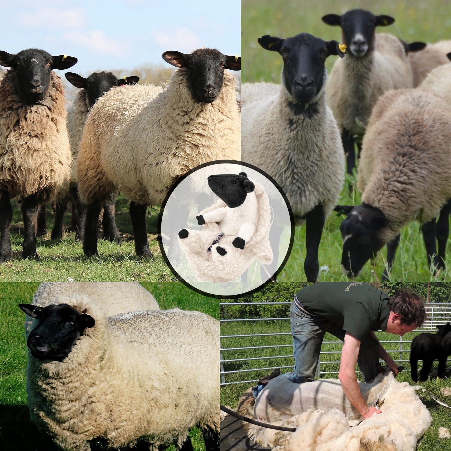 AGRIMONY Cute Blackwhite Shaved Sheep Plush Toy - Small Kawaii Lamb Stuffed Animal for Kids, Teens, and Women - Perfect Gift for Any Occasion