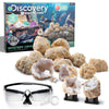 Discovery Kids Geode Excavation Kit, 14pc Medium Toy, Multicolor, Plastic, Model 1014849