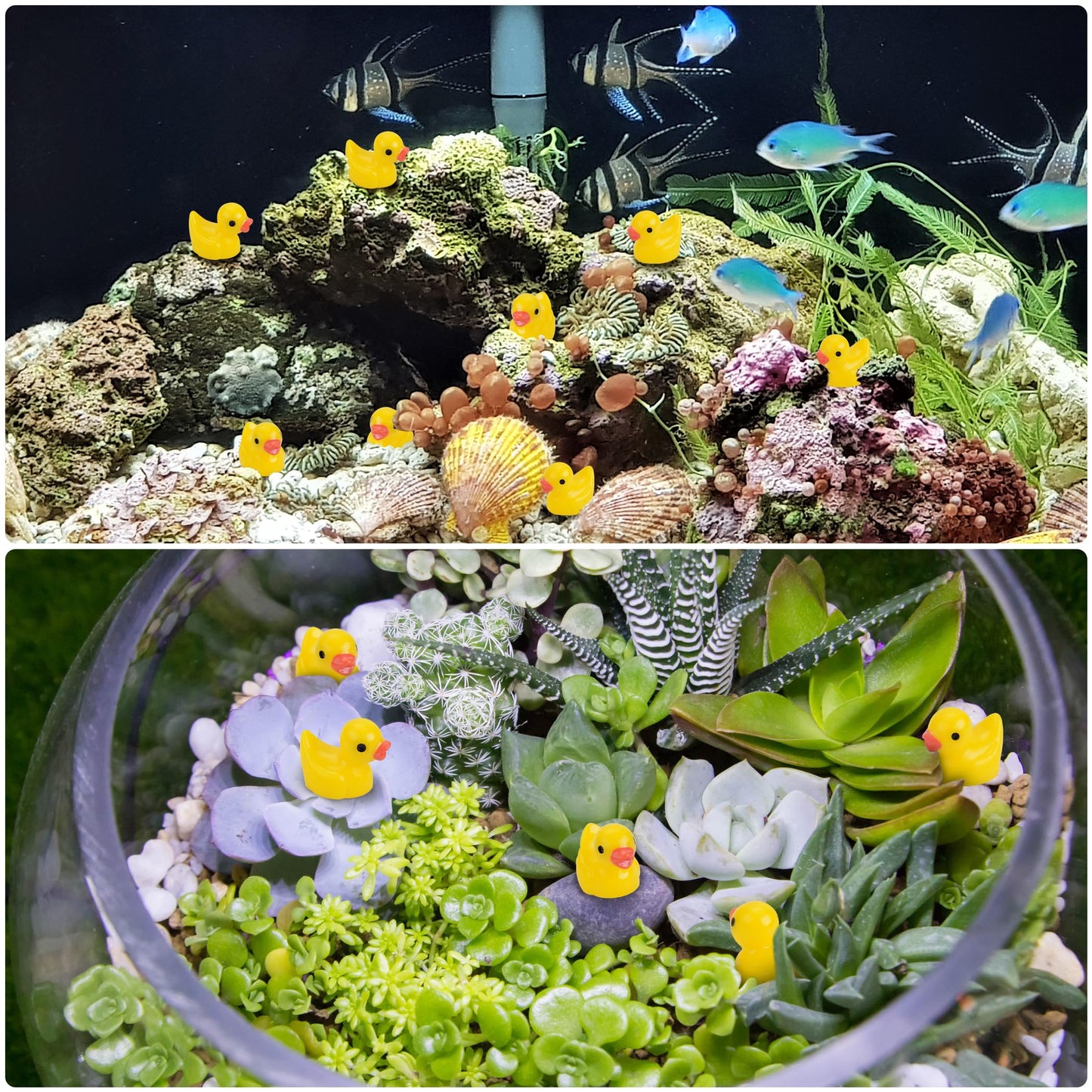 240 Pieces Mini Resin Ducks, Yellow Tiny Duck Figurines Bulk for Garden Micro Landscape Aquarium Dollhouse Potted Plants Decorat