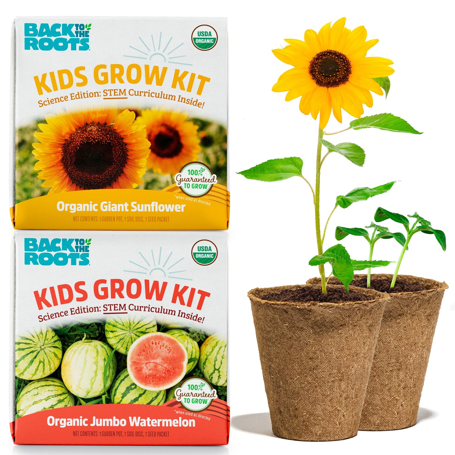 Back To The Roots Kids Science Grow Kit 2Ct - Watermelon And Sunflower
