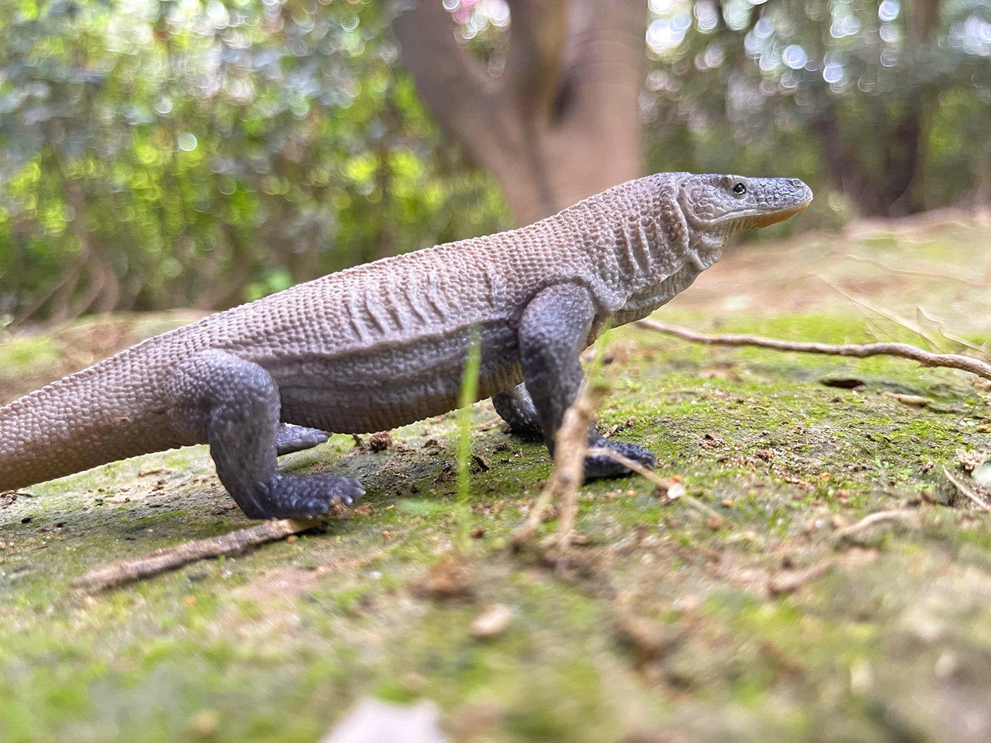 Nakimo Komodo Dragon Animal Figurine Lizard Toy Realistic Reptile Figures For Decoration, Science Education, Prank Props