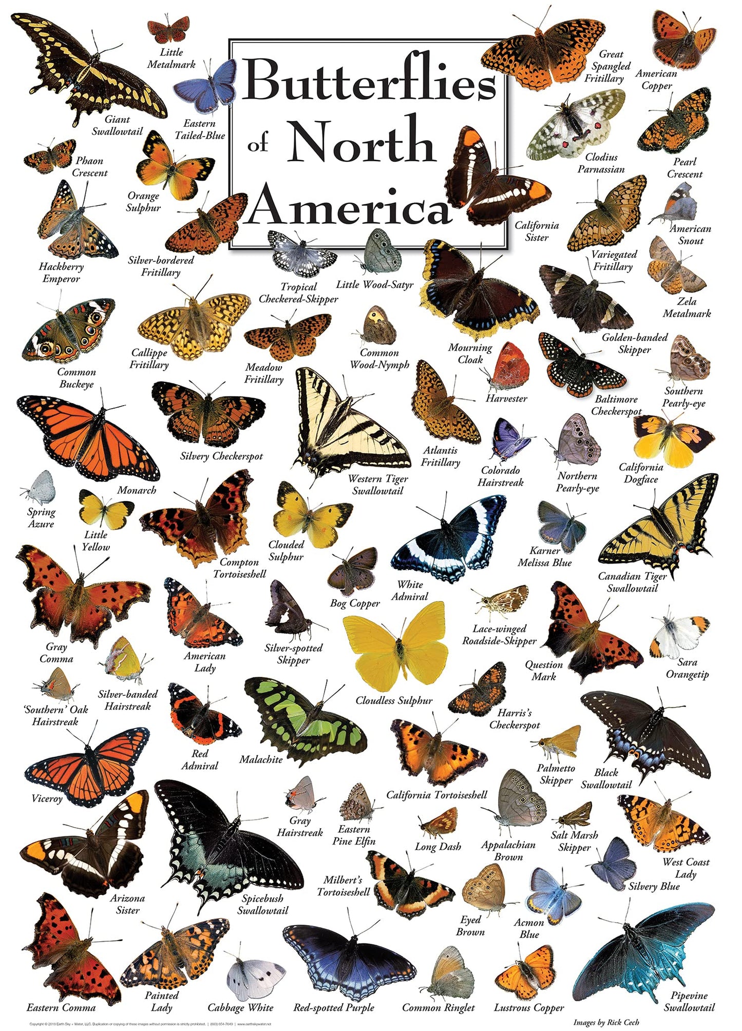 Masterpieces 1000 Piece Jigsaw Puzzle For Adults, Family, Or Youth - Butterflies Of North America - 19.25''X26.75''