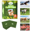 50 Animal Flash Cards - Realistic Photo Cards - Fun Vocabulary Builder For Autisim, Speech Therapy, Esl, Occupational Therapy - Montessori Educational Games For Preschool Kids Learning Activity
